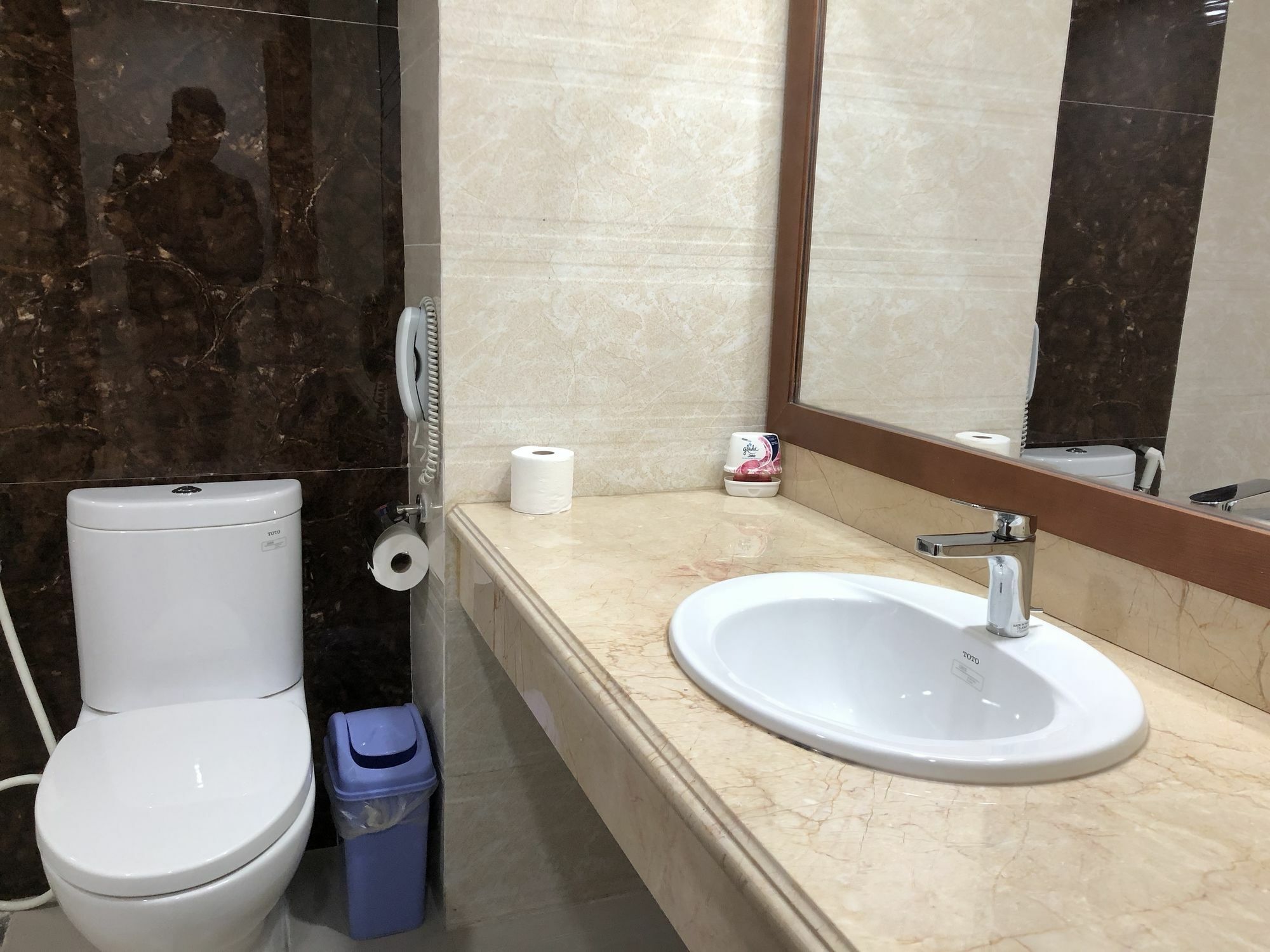 Bmc Thang Long ها لونغ المظهر الخارجي الصورة
